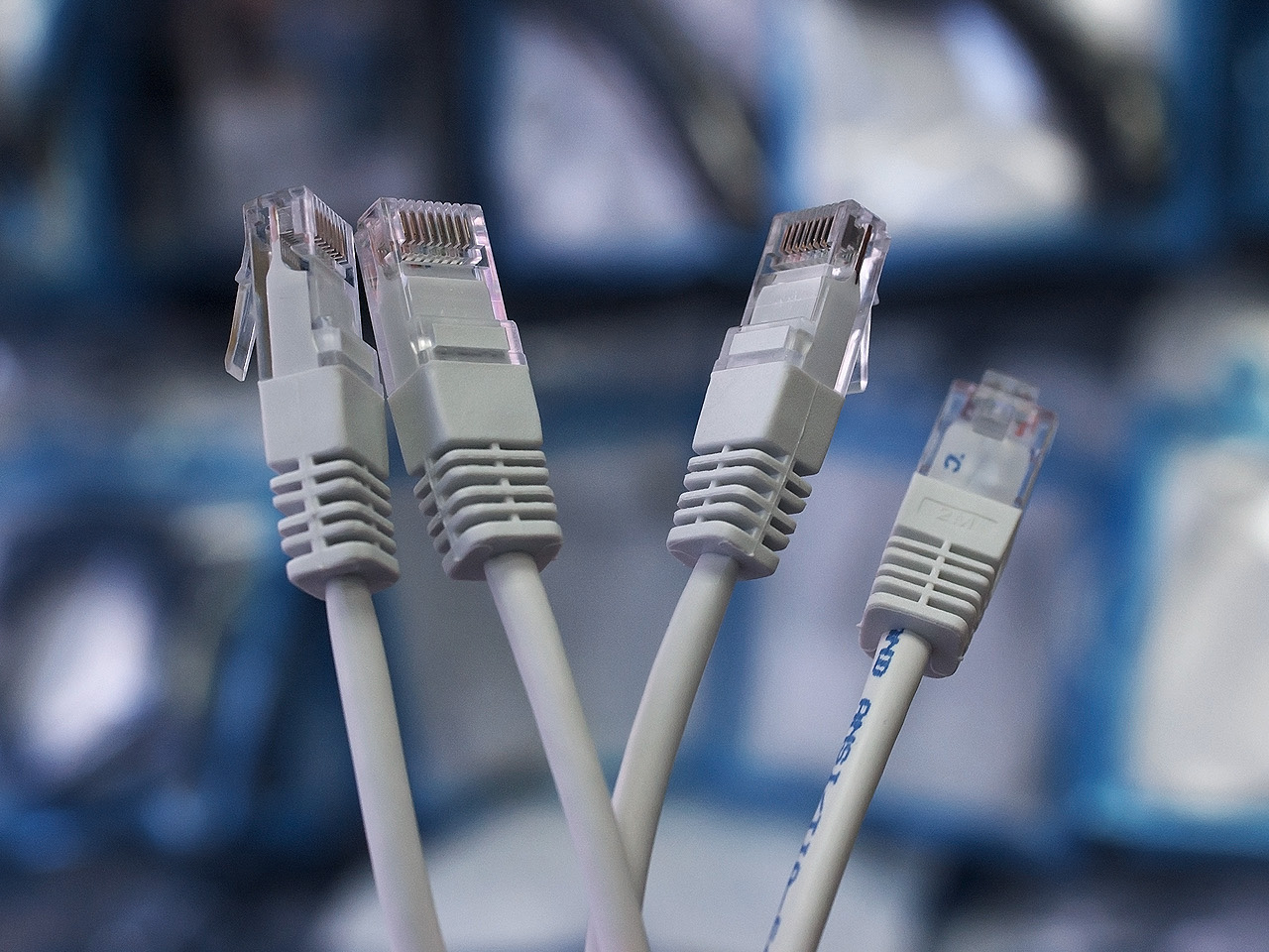 Deux fiches RJ45 montées sur des câbles Cat 5e
